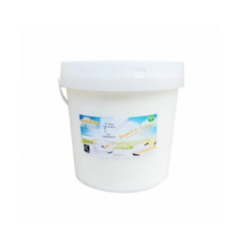 Yogurt de Coagulo Probiótico Vainilla (4 Lt)